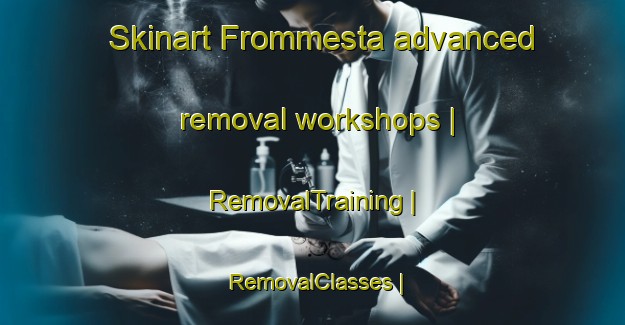 Skinart Frommesta advanced removal workshops | RemovalTraining | RemovalClasses | SkinartTraining-Sweden